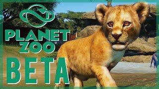 CUTE BABY ANIMALS!!  Planet Zoo BETA Gameplay