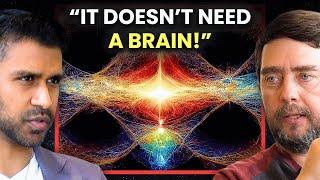 Bioelectricity, Conscious Agents, Multi-Dimensional Systems | Dr. Michael Levin