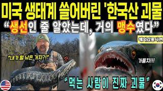 한국화 되버린 미국 생태계 속도 막을길 없었습니다[해외감동사연]