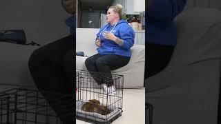 Puppy Crate Training SECRET #1 !