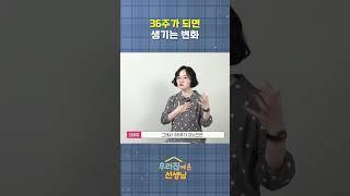 36주가 되면 생기는 변화