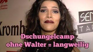 Micaela findet Walter kurios, aber unterhaltsam  |Dschungelcamp