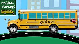 School Buses Teaching Colors - Learning Colours Video for Kids