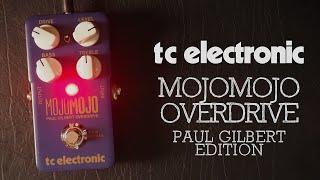 TC Electronic MojoMojo Overdrive Paul Gilbert Edition