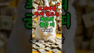 토끼띠 재물운 최강 궁합 띠 #띠별운세 #재물운 #토끼띠