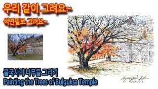 454회) 불국사의 나무들 그리기Painting the Trees of Bulguksa Temple#drawing #여행드로잉 #그림독학 #티노씨실시간 #색연필화