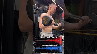 Качаем бицепс по науке. #фитнес #тренировка https://t.me/TrainerSmirnov