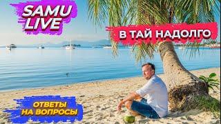 Самуи Live //  Как уехать в Таиланд надолго? // Сколько нужно денег?