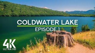 4K Summer Ambience at Coldwater Lake | Calm Waves & Birdsong for Deep Relaxation - Episode 1