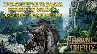 Гайд по данжу Forest of Grudge в Throne and Liberty. Механники, и их скип.