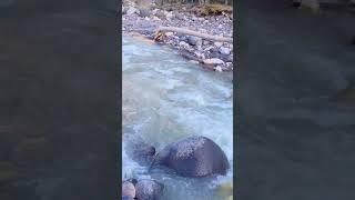 Звуки горной реки. Северный Кавказ, река Баксан. Sound mountain river.  Nord Caucasus, river Baksan.