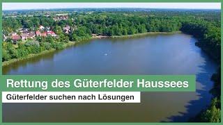 Rettung des Güterfelder Haussees | neue Diskussionsreihe gestartet