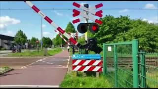 Treinen in Zwolle en omgeving TRAILER