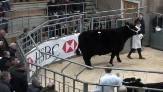 STRATH URR 8,300gns1