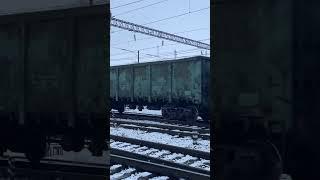 ВЛ80С-1592 с грузовым поездом летит около Таловой #superfacts90 #ignatpirat #вовчик960 #вл80с