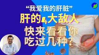 健康知识分享 体验/肝的4大敌人，快来看看你吃过几种？#健康常识#健康知识#健康生活#健康