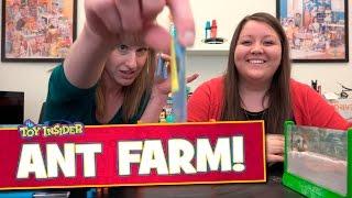 Ant Farm Toys from Uncle Milton! Retro Toy Fun!!