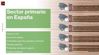 Sector primario en España: Espacio rural. Agricultura, ganadería, silvicultura y pesca