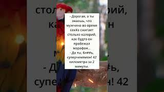 Анекдот дня #настроение #анекдот #прикол #юмор #анекдоты #мем #смех #приколы