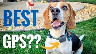 Best Pet GPS Tracker Review! Whistle GO Explore (Dog Tracker GPS)