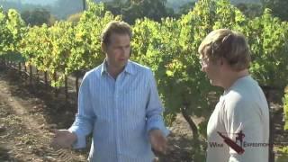 WineExpedition walks the vines at Grgich Hills