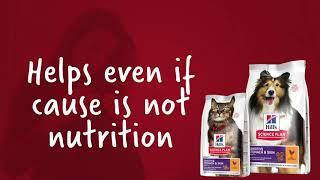 Science Plan Sensitive Stomach & Skin