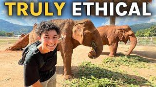 we visited a TRULY ETHICAL Elephant Sanctuary | Elephant Nature Park Chiang Mai Thailand