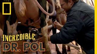 Old “McCharles” on the Farm! | The Incredible Dr. Pol