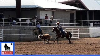 Steer Roping 1st Go   2021 Spicer Gripp Memorial Roping