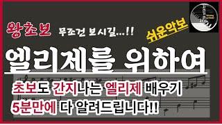 5분만에 배우는 엘리제/초보자를위한 엘리제를 위하여/엘리제 배우기(쉬운악보-완전쉽)
