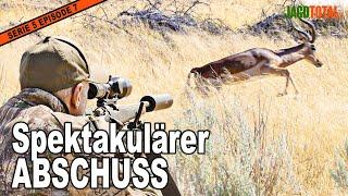 IMPALA-Pirsch: Unvergessliches Jagdabenteuer! JAGD TOTAL