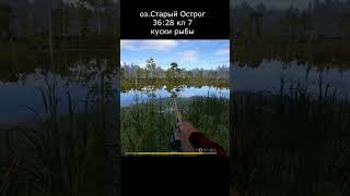 точка на угря оз.Старый Острог #РусскаяРыбалка4 #РР4