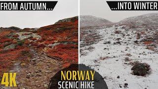 Amazing Norway Hiking Adventure through the Seasons | 4K Relaxing Virtual Walk