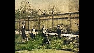 LOST FILM BY KAZIMIERZ PRÓSZYŃSKI – "CHILDREN PLAYING IN THE GARDEN" (1894)