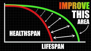 A Scientific Guide To Increasing Longevity