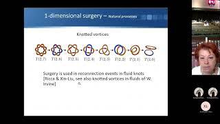 Topological surgery and applications - Sofia Lambropoulou