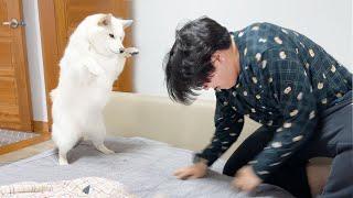 강아지 행동을 따라했더니 반응이... ㅋㅋㅋ