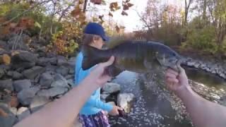 Smallmouth and Saugeye at Griggs Dam,  Columbus Ohio