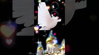 Прости меня