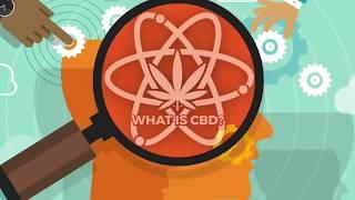 WHY PEOPLE USE CBD FOR PANIC DISORDER