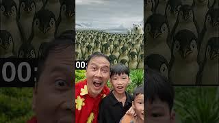 Rap Patapin Nhảy Bao Vui #haongchu #ongchu #onggia