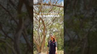 SABAH : Keningau | Kampung Dangulad