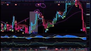Backtesting Forex AUD/NZD with Quantum Trading Strategy (Crypto, Stocks, FX)