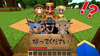 捨てられたイタリアンブレインロットの赤ちゃんを育てるマインクラフト【マイクラ】ぽっぴんず