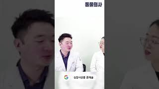 심장사상충 말기에 벌어지는 충격적인 비주얼 | 동물의사 Animal Doctor