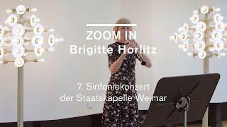 ZOOM IN // 7. Sinfoniekonzert der Staatskapelle Weimar