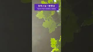 머리를 비우는 호흡명상 #shorts #정목스님