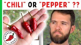 "Chili" or "Pepper" - Which One Is It? - Pepper Geek