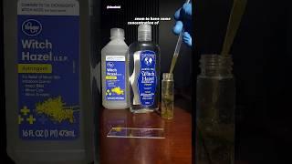 Witch Hazel vs Germs Under Microscope #microbiology #microscope #science