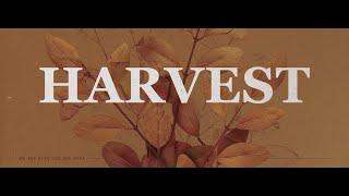 09.29.2024 - Harvest - Gratitude